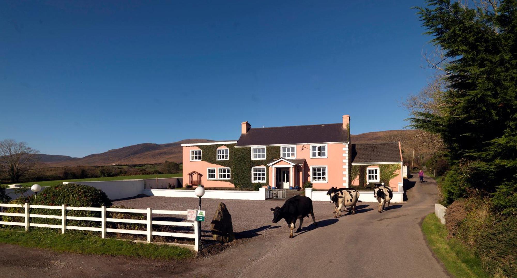 Murphys Farmhouse B&B Castlemaine Exterior foto