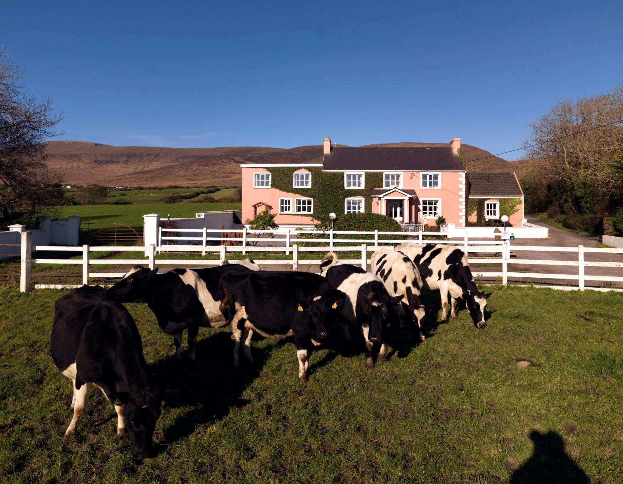 Murphys Farmhouse B&B Castlemaine Exterior foto